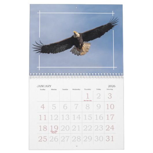 Eagles eerste familie kalender (Jan 2026)