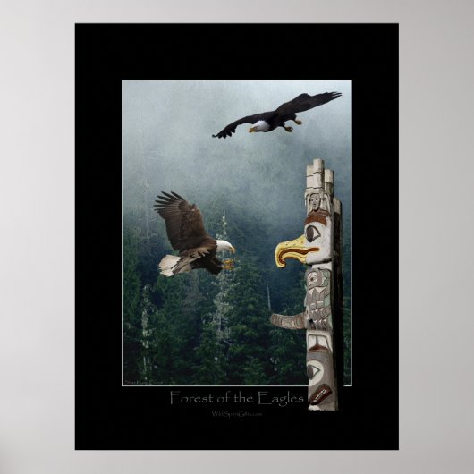 Eagles, Forest & Haida Totem Art Poster (Voorkant)
