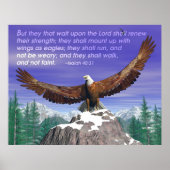 Eagles II Poster (Voorkant)