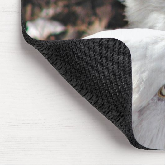 eagles muismat (Hoek)