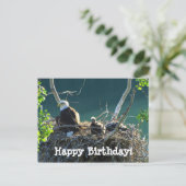 Eagles' Nest: Gelukkige Verjaardag Briefkaart (Staand voorkant)