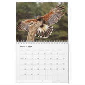 Eagles, Owls and Hawks Wildlife Calendar Kalender (Mar 2026)