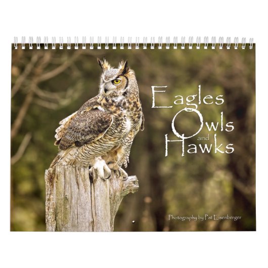 Eagles, Owls and Hawks Wildlife Calendar Kalender (Hoes)