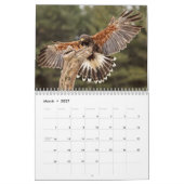 Eagles, Owls and Hawks Wildlife Calendar Kalender (Mar 2027)