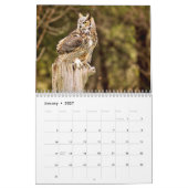 Eagles, Owls and Hawks Wildlife Calendar Kalender (Jan 2027)