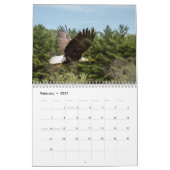 Eagles, Owls and Hawks Wildlife Calendar Kalender (Feb 2027)