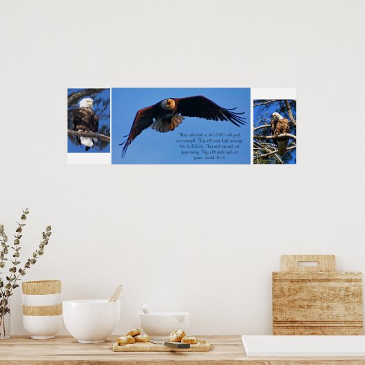 Eagles Poster (Keuken)