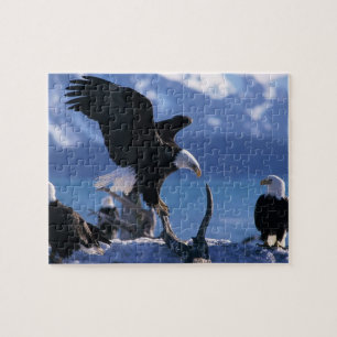 Eagles Puzzle Legpuzzel