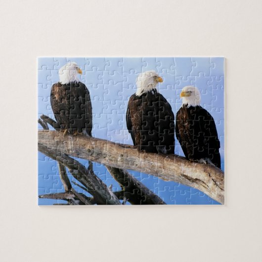 Eagles Puzzle Legpuzzel (Horizontaal)