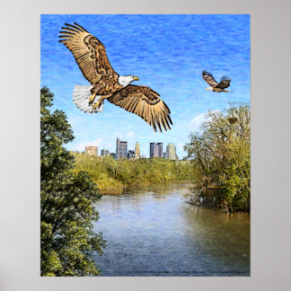 Eagles Scioto River Columbus Ohio Afdrukken Poster