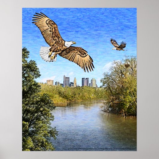 Eagles Scioto River Columbus Ohio Afdrukken Poster (Voorkant)