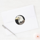 Eagles Stare Ronde Sticker (Envelop)
