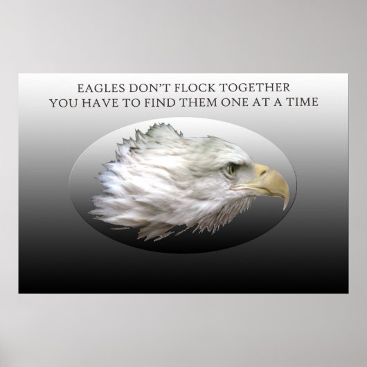 Eagles vliegen niet samen poster (Voorkant)