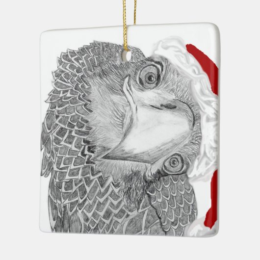 Eaglet E9 zegt: Wie is dat? kerstversiering Keramisch Ornament (Links)