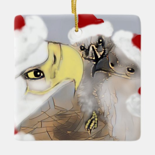 Eaglets E7 & E8 Kerst Ornament kleur (Voorkant)