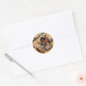 Eak Acorn-Petten Ronde Sticker (Envelop)