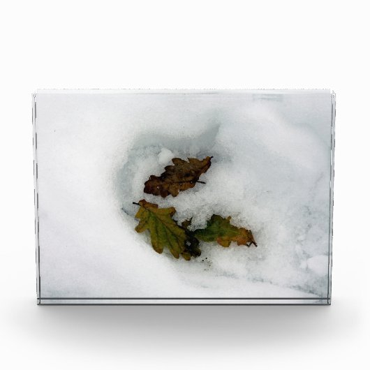 Eak-bladeren in de sneeuwvakantiekaart, afdruk van fotoblokken (Voorkant)