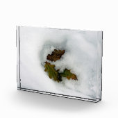 Eak-bladeren in de sneeuwvakantiekaart, afdruk van fotoblokken (Rechts)