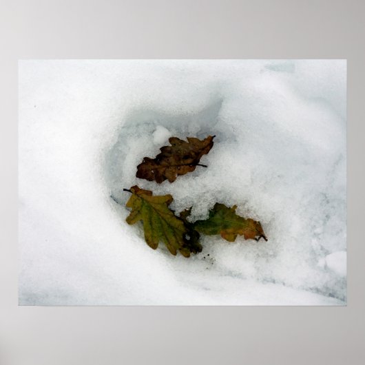 Eak-bladeren in de sneeuwvakantiekaart, afdruk van poster (Voorkant)