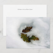 Eak-bladeren op de sneeuwvakantiekaart feestdagenkaart (Voorkant / Achterkant)