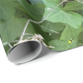 Eak- en ijskoud-papier cadeaupapier (Rol Hoek)