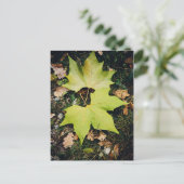 Eak groene bladeren briefkaart (Staand voorkant)