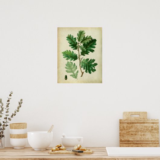 Eak Leaves no.3 Farmhouse Wall Art Poster (Keuken)