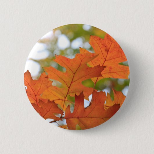 Eak Leaves Ronde Button 5,7 Cm (Voorkant)