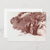 Eak-structuur Briefkaart (Voorkant / Achterkant)