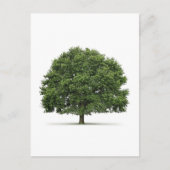 Eak-structuur Briefkaart (Voorkant)