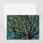 Eak-structuur Briefkaart (Voorkant / Achterkant)