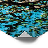 Eak-structuur Poster (Hoek)