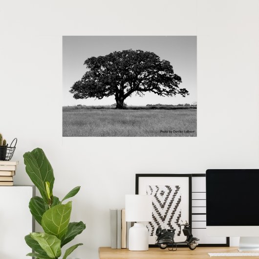 Eak-structuur Poster (Thuiskantoor)