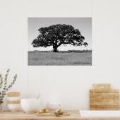 Eak-structuur Poster (Keuken)