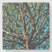 Eak-structuur Stenen Onderzetter (Voorkant)