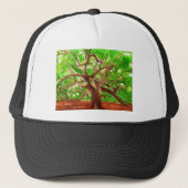 Eak-structuur Trucker Pet (Voorkant)