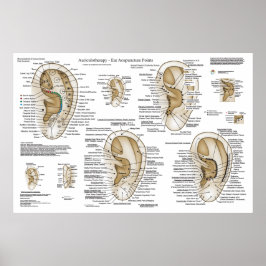 Ear Acupunctie Europees Systeem Auriculotherapie Poster