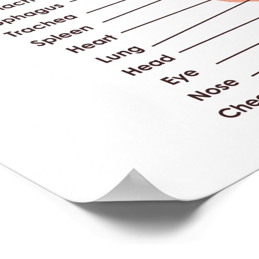 Ear Reflexology Chart 20" x 16", (Matte) Poster (Hoek)