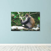Ear Tagged Samango Monkey Canvas Afdruk (Insitu (Houten vloer))