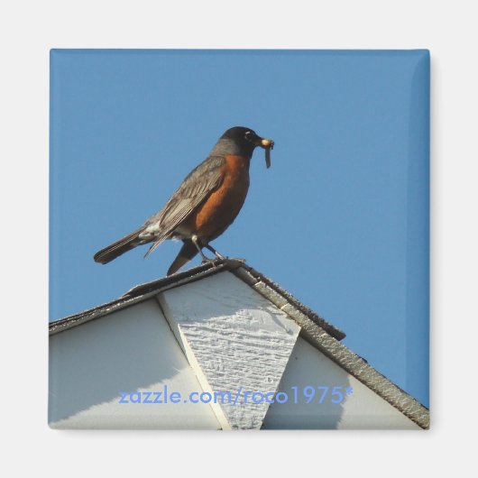 Early Bird Magneet (Voorkant)