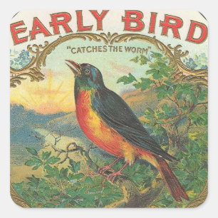 Early Bird Vierkante Sticker