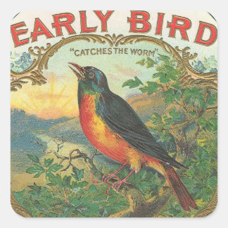 Early Bird Vierkante Sticker