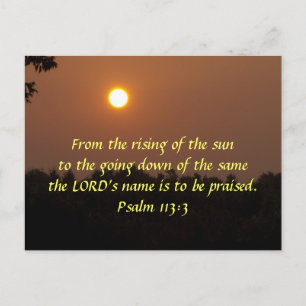 Early Dawn late June Briefkaart