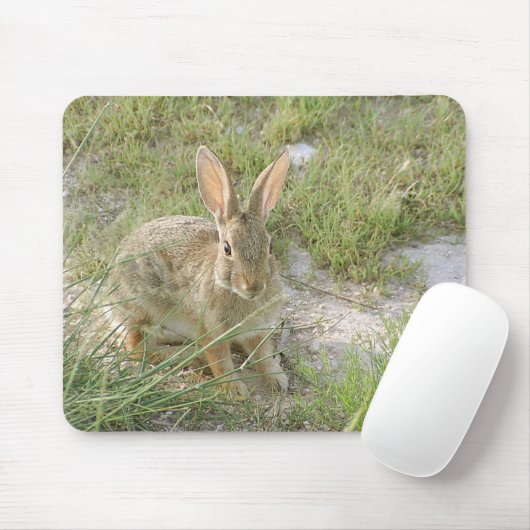 Early Evening Bunny Muismat (Met muis)