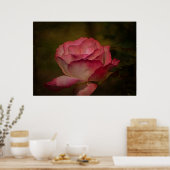 Early Evening Rose Poster (Keuken)