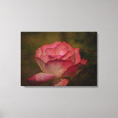 Early Evening Rose Stretch Canvas Print (Voorkant)