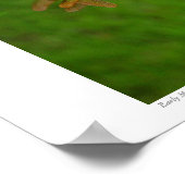 Early Maple Seeds #4352 Poster (Hoek)