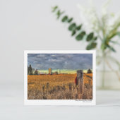 Early Morning Corn Field Briefkaart (Staand voorkant)