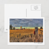 Early Morning Corn Field Briefkaart (Voorkant / Achterkant)