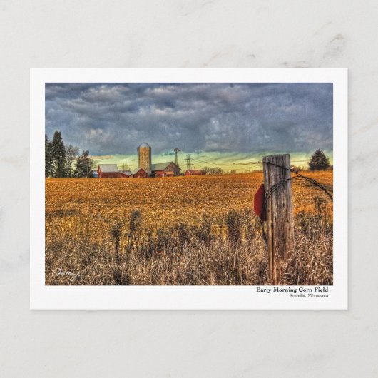 Early Morning Corn Field Briefkaart (Voorkant)
